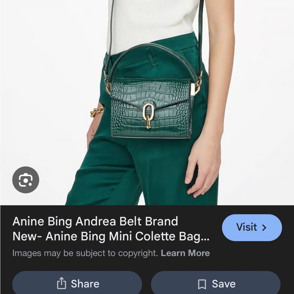 Anine Bing Mini Colette Bag in Emerald Green - Picture 3 of 6